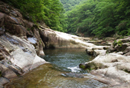 장안산군립공원